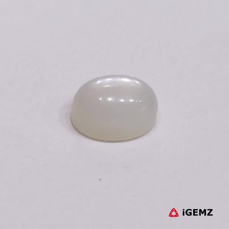 iGemz23476.1 1.8 ct Cat's Eye Moonstone - iGemz23476