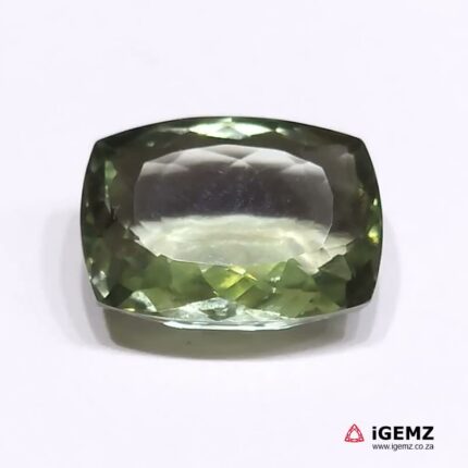 23.4 ct Green Prasiolite - iGemz24654