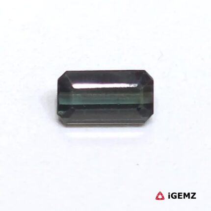 iGemz25066.1