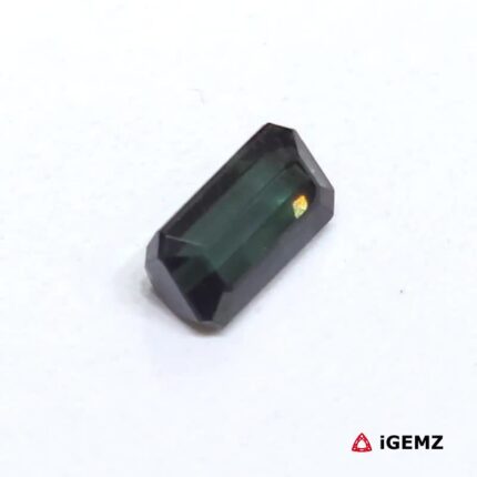 iGemz25066.2
