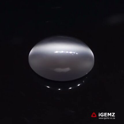 9.8 ct Cat's Eye Moonstone - iGemz24123