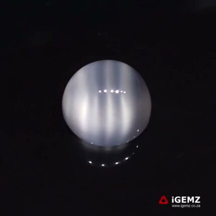 9.55 ct Cat's Eye Moonstone - iGemz24125