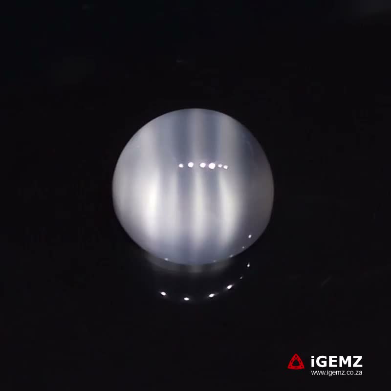 iGemz24125.1 9.55 ct Cat's Eye Moonstone - iGemz24125