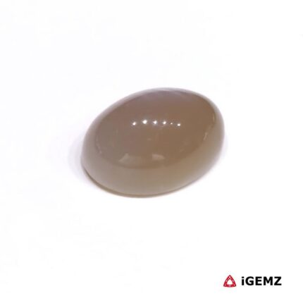 15.56 ct Brown Moonstone - iGemz28931