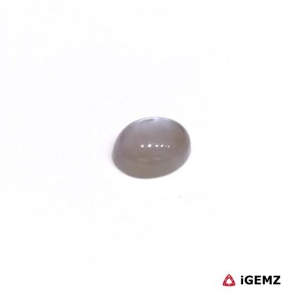 17.8 ct Grey Moonstone - iGemz28942