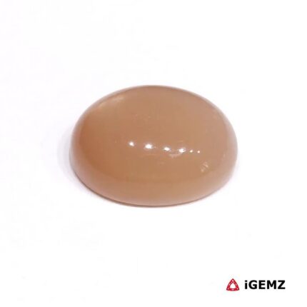 19.78 ct Brown Moonstone - iGemz29092
