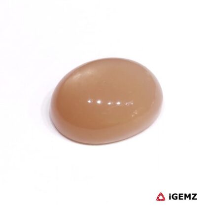 19.78 ct Brown Moonstone - iGemz29092