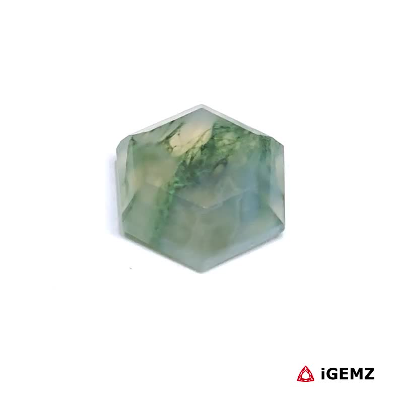 iGemz24199.1 4.22 ct Green Moss Agate - iGemz24199 gemstone for sale at igemz.co.za