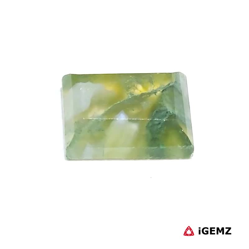 iGemz24307.1 5.2 ct Green Moss Agate - iGemz24307