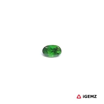 0.19 ct Green Garnet Tsavorite - iGemz30495