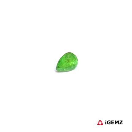 0.19 ct Green Garnet Tsavorite - iGemz30502