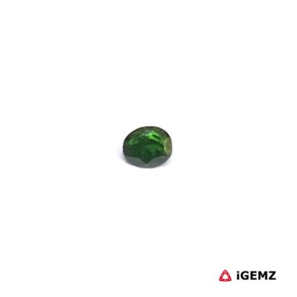 0.17 ct Green Garnet Tsavorite - iGemz30507