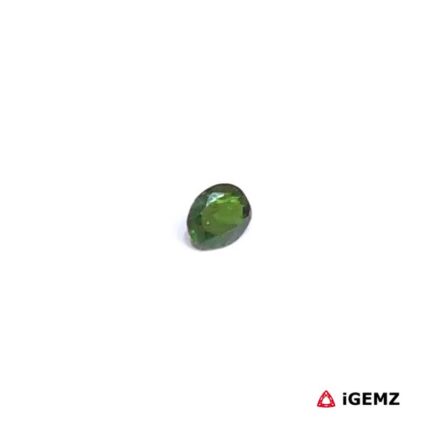 0.17 ct Green Garnet Tsavorite - iGemz30507