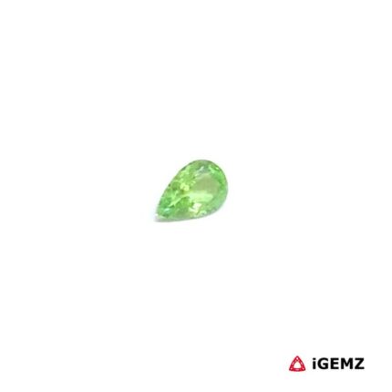 0.19 ct Green Garnet Tsavorite - iGemz30509