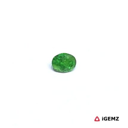 0.26 ct Green Garnet Tsavorite - iGemz30516