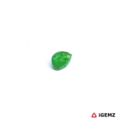 0.2 ct Green Garnet Tsavorite - iGemz30518