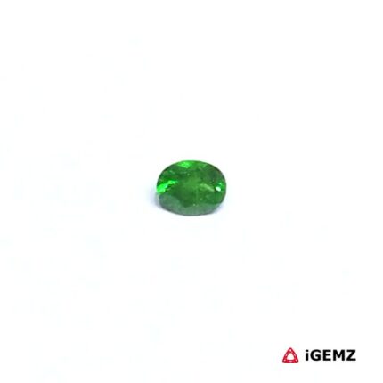 0.25 ct Green Garnet Tsavorite - iGemz30519