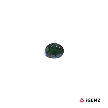 0.2 ct Green Garnet Tsavorite - iGemz30540