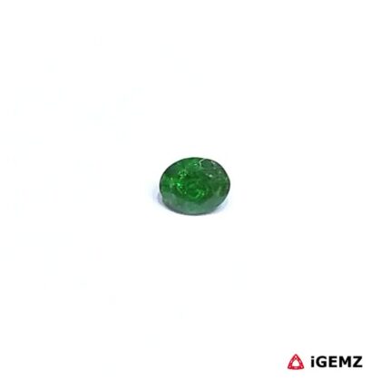 0.24 ct Green Garnet Tsavorite - iGemz30544