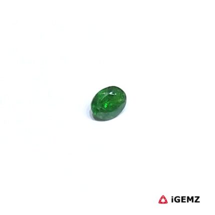 0.24 ct Green Garnet Tsavorite - iGemz30544