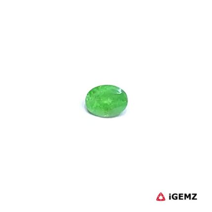 0.26 ct Green Garnet Tsavorite - iGemz30546