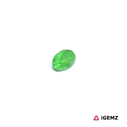 0.26 ct Green Garnet Tsavorite - iGemz30546