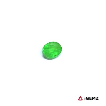 0.23 ct Green Garnet Tsavorite - iGemz30548