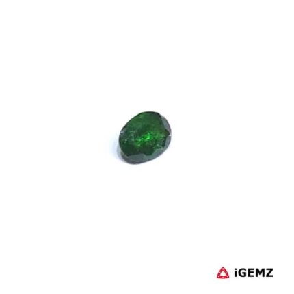 0.25 ct Green Garnet Tsavorite - iGemz30566