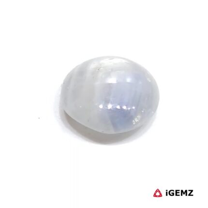 4.41 ct Blue Star Sapphire - iGemz31061