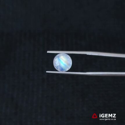2.39 ct Blue Moonstone - iGemz21192
