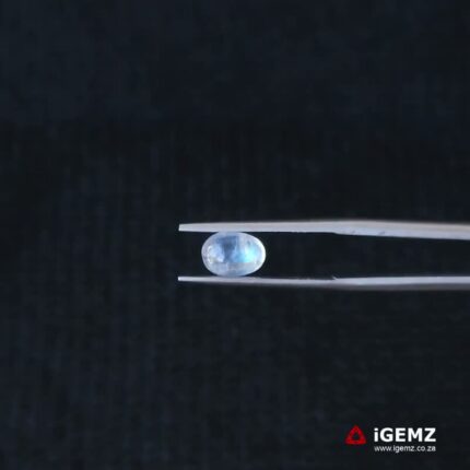 1.02 ct Blue Moonstone - iGemz21228