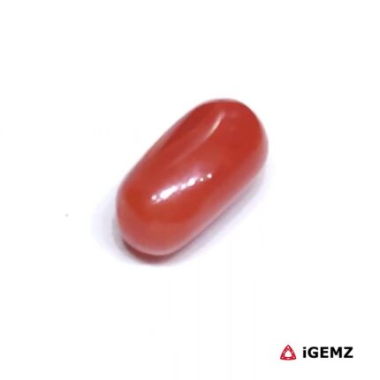 2.57 ct Red Coral - iGemz23719 gemstone for sale at igemz.co.za