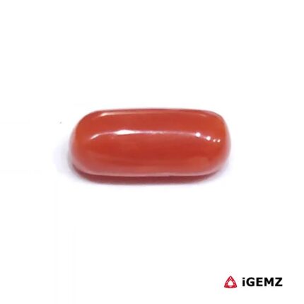2 ct Red Coral - iGemz23720 gemstone for sale at igemz.co.za