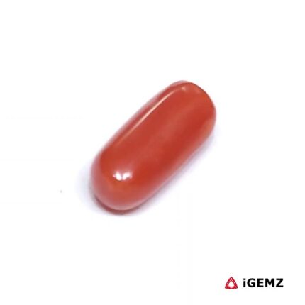 2 ct Red Coral - iGemz23720 gemstone for sale at igemz.co.za