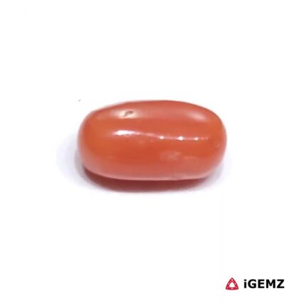 2.32 ct Red Coral - iGemz23721 gemstone for sale at igemz.co.za