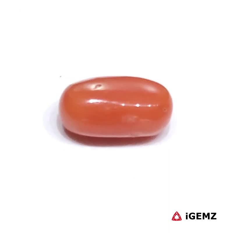 iGemz23721.1 2.32 ct Red Coral - iGemz23721 gemstone for sale at igemz.co.za