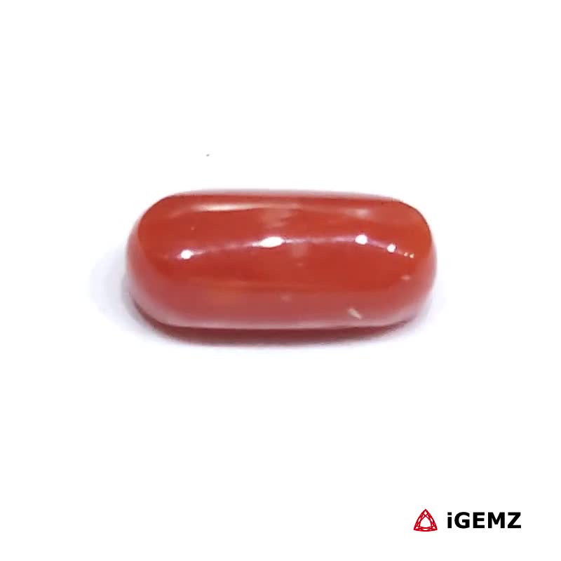 iGemz23722.1 2.48 ct Red Coral - iGemz23722 gemstone for sale at igemz.co.za