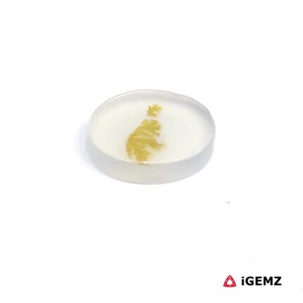 1.4 ct Brown Dendritic Agate - iGemz24461 gemstone for sale at igemz.co.za