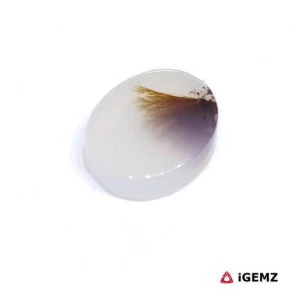 2.48 ct Brown Dendritic Agate - iGemz24480 gemstone for sale at igemz.co.za