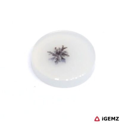 2.27 ct Brown Dendritic Agate - iGemz24486 gemstone for sale at igemz.co.za