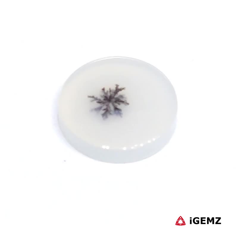 iGemz24486.1 2.27 ct Brown Dendritic Agate - iGemz24486 gemstone for sale at igemz.co.za