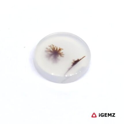 1.92 ct Brown Dendritic Agate - iGemz24487 gemstone for sale at igemz.co.za