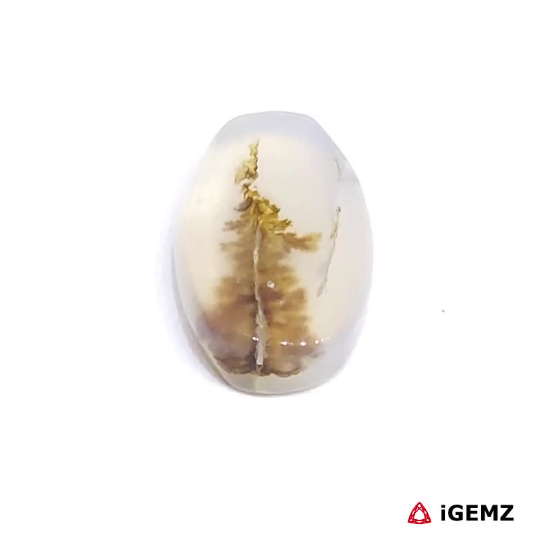 iGemz24593.1 2.57 ct Brown Dendritic Agate - iGemz24593 gemstone for sale at igemz.co.za