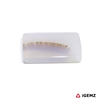 8.31 ct Brown Dendritic Agate - iGemz24452 gemstone for sale at igemz.co.za