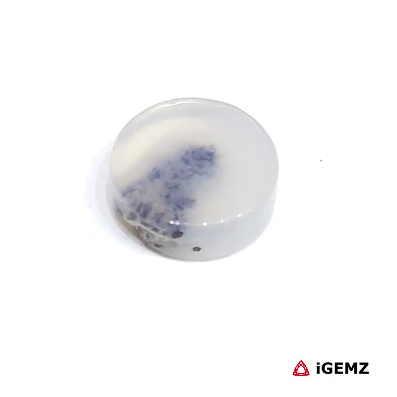 iGemz24453.1 2.31 ct Brown Dendritic Agate - iGemz24453 gemstone for sale at igemz.co.za