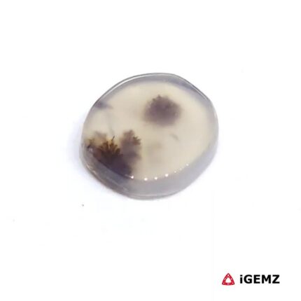 2 ct Brown Dendritic Agate - iGemz24454 gemstone for sale at igemz.co.za