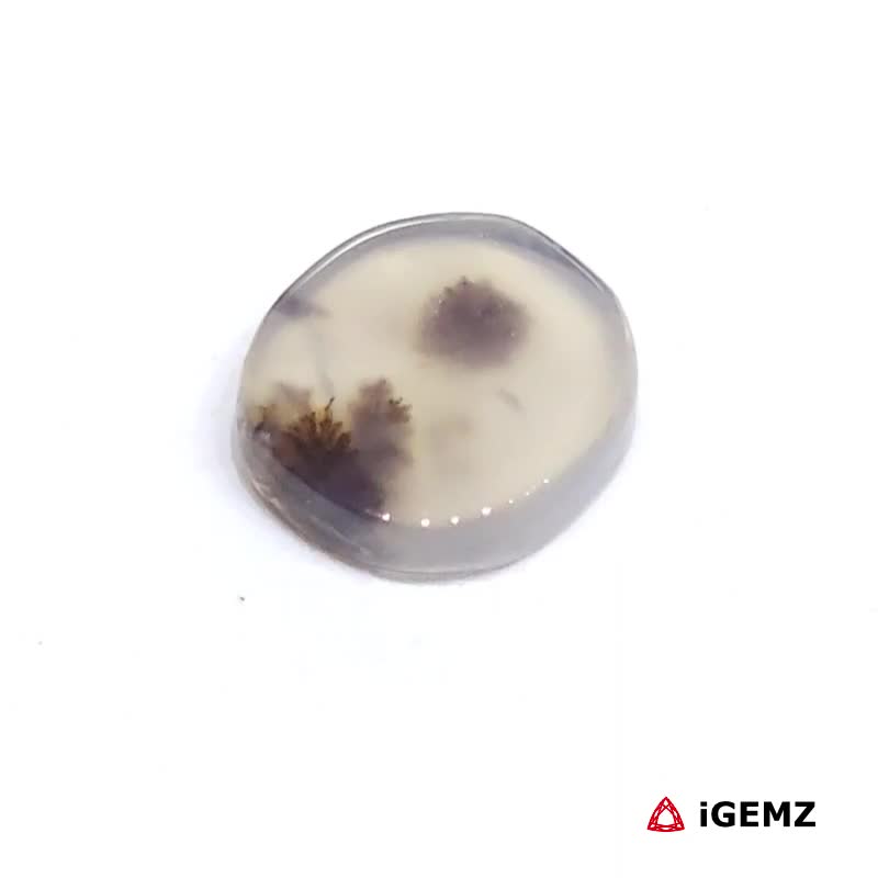 iGemz24454.1 2 ct Brown Dendritic Agate - iGemz24454 gemstone for sale at igemz.co.za