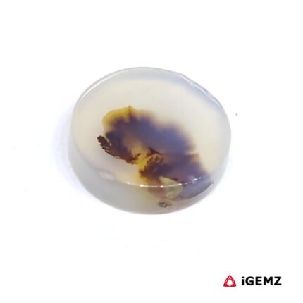 3.24 ct Brown Dendritic Agate - iGemz24463 gemstone for sale at igemz.co.za
