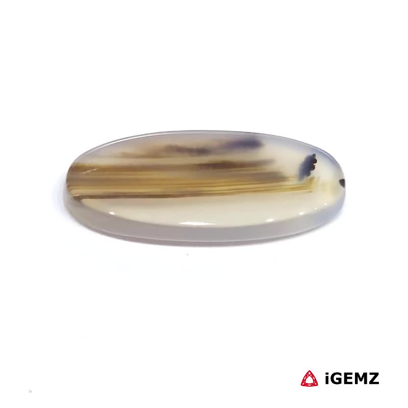 iGemz24467.1 11.78 ct Brown Dendritic Agate - iGemz24467 gemstone for sale at igemz.co.za