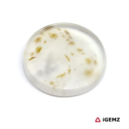 15.52 ct Brown Dendritic Agate - iGemz24469 gemstone for sale at igemz.co.za
